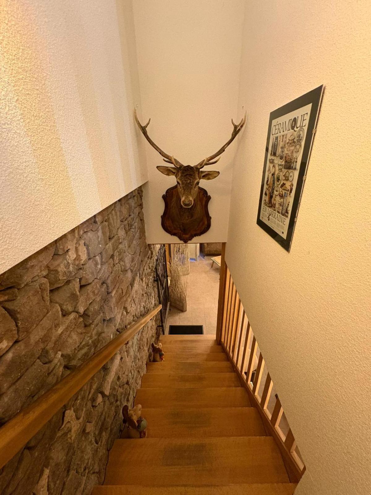 Auberge Du Ruxelier J&D Cheniménil 외부 사진